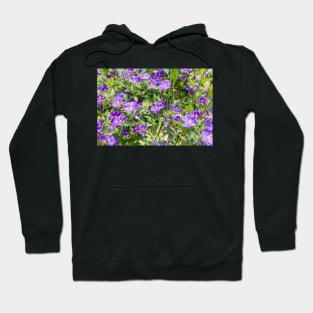 Charming little blue flowers Hoodie